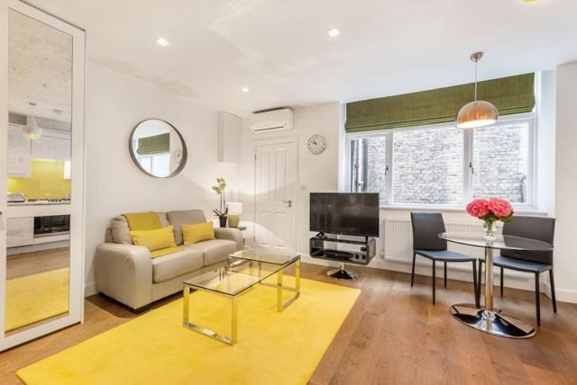 לונדון Marylebone - Crawford Street By Viridian Apartments מראה חיצוני תמונה